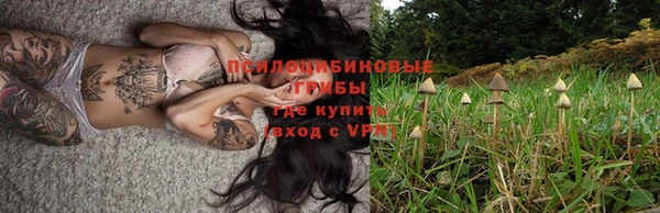 твердый Абинск