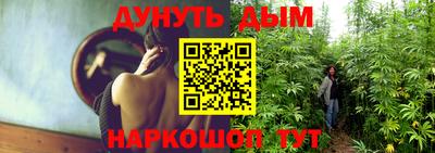 шишки Пыть-Ях
