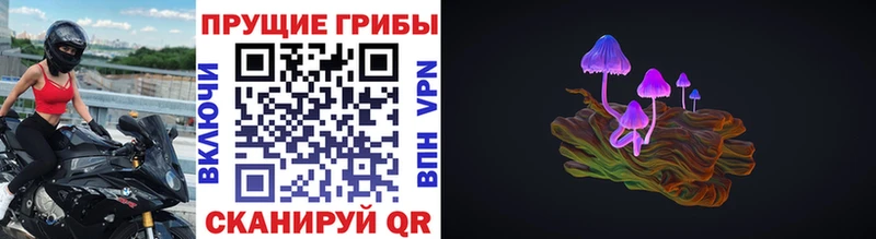 Псилоцибиновые грибы мицелий  blacksprut онион  Рославль  купить наркотик 