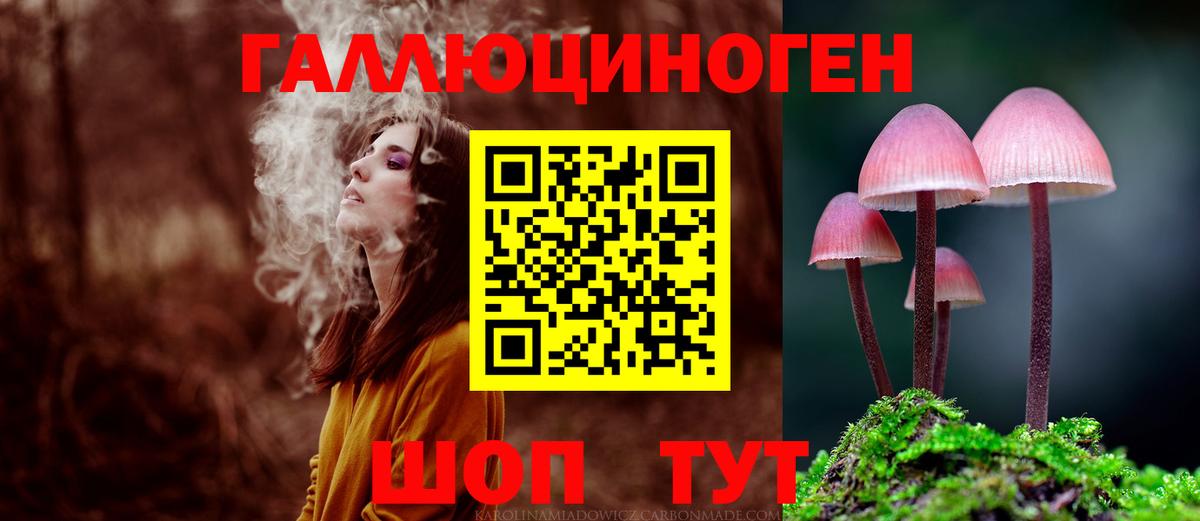 Псилоцибиновые грибы Psilocybe Рославль