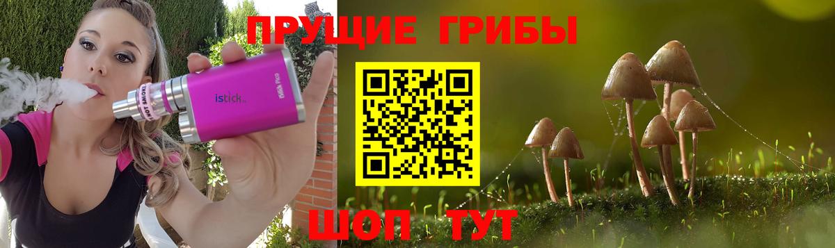Псилоцибиновые грибы Psilocybine cubensis  где продают наркотики  Рославль  Вход с VPN 